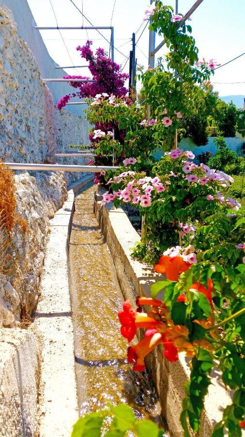 Villa Adelaida Орхива Экстерьер фото